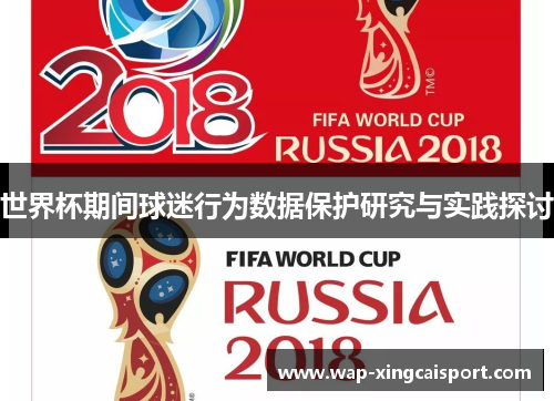世界杯期间球迷行为数据保护研究与实践探讨