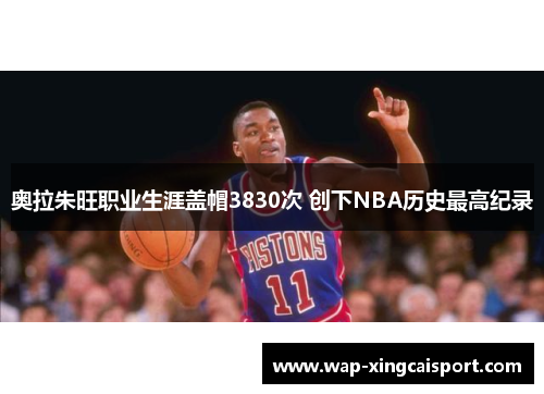 奥拉朱旺职业生涯盖帽3830次 创下NBA历史最高纪录