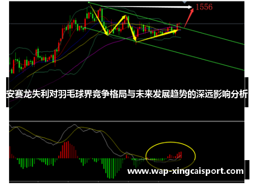 安赛龙失利对羽毛球界竞争格局与未来发展趋势的深远影响分析