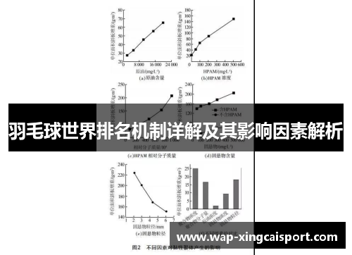 羽毛球世界排名机制详解及其影响因素解析