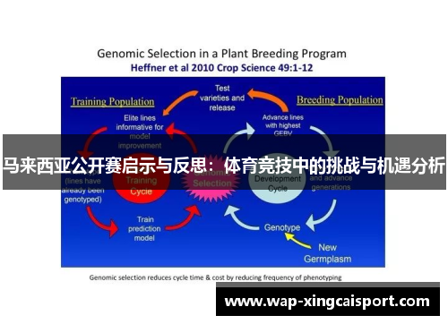 马来西亚公开赛启示与反思：体育竞技中的挑战与机遇分析